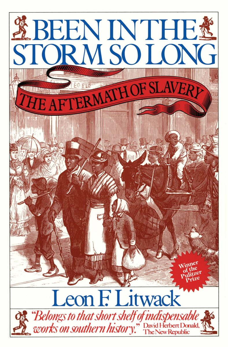 Been In The Storm So Long: The Aftermath of Slavery by Leon F. Litwack