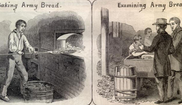 Civil War illustrations show bread being baked and examined for quality for an army inspector