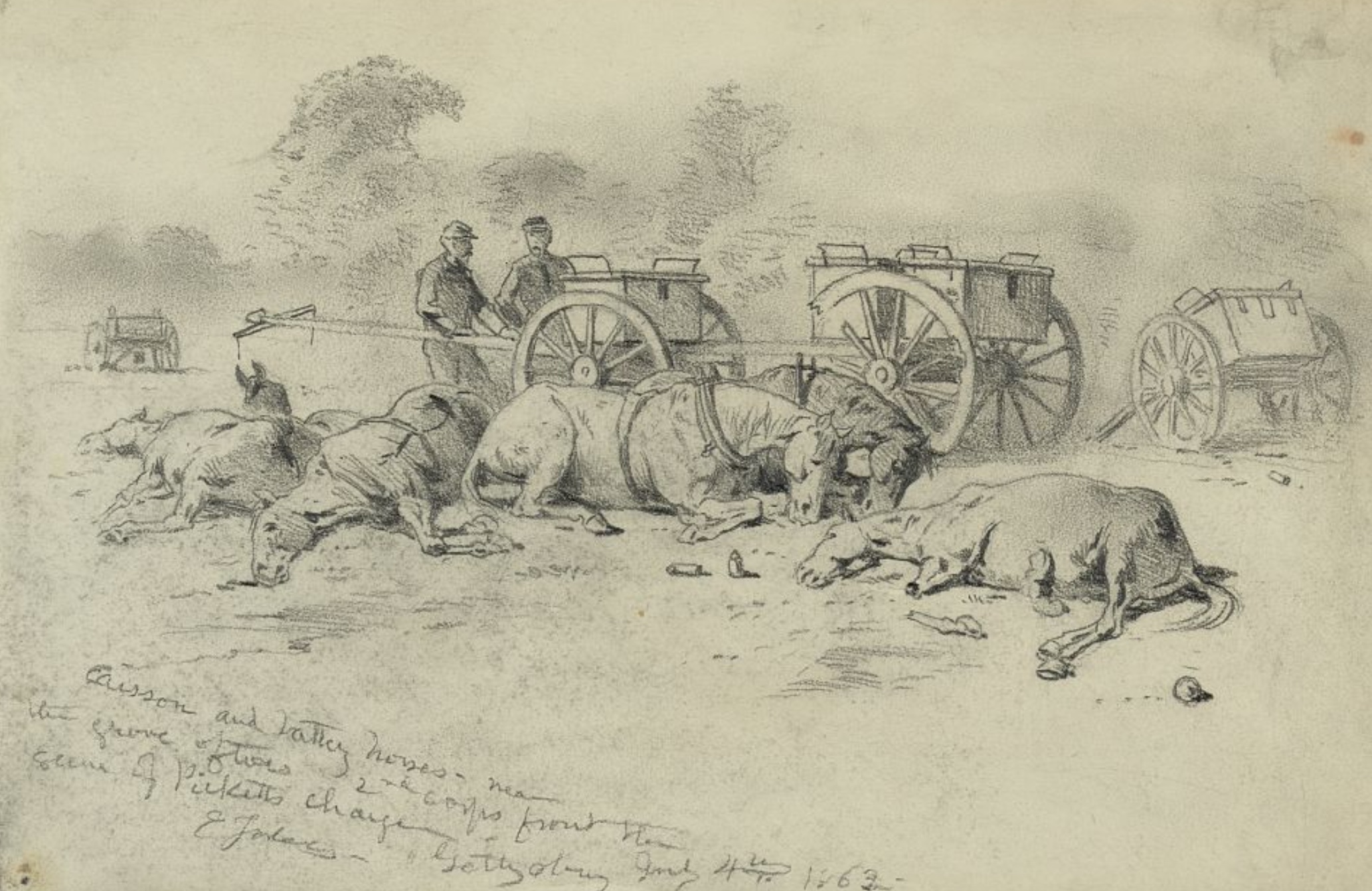 Dead horses at Gettysburg