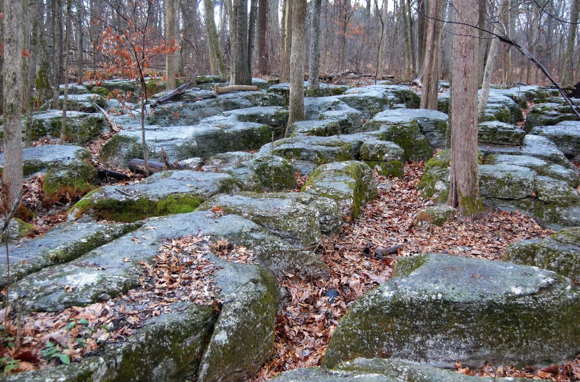 Karrens provided an excellent defensive position for Philip Sheridan’s men at Stones River. The rocks also impeded the movement of pursuing Confederate artillery after Sheridan’s men ran low on ammunition and abandoned the position.